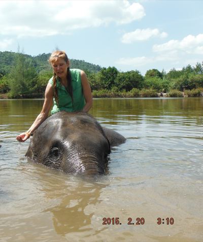 ALT =[“Dr. Jolie Bookspan: Dr. Bookspan swimming with the elephants to help keep them cool”]
