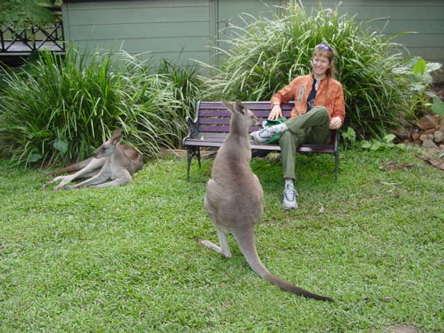 ALT =[“Dr. Jolie Bookspan: Dr. Bookspan with kangaroo friends.”] 